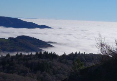 Randonnée Marche Saint-Maurice-sur-Moselle - ballon d'Alsace  - Photo