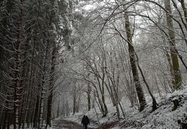 Tour Wandern Aywaille - Harze - Photo