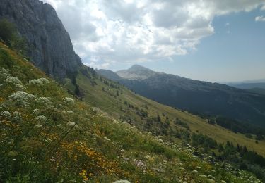 Tocht Mountainbike Varces-Allières-et-Risset - tour du Cornafion par col de l'Arc et col Vert - Photo