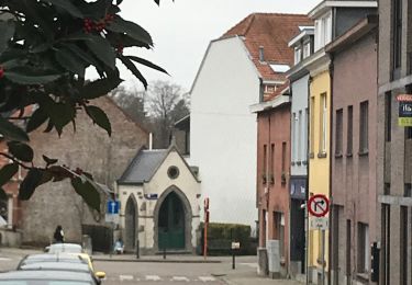 Tocht Stappen Tervuren - Voer bois  - Photo