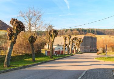 Tocht Te voet Vápenný Podol - [Z] Vápenný Podol - Lovětínská rokle - Photo