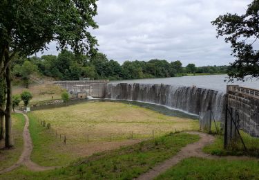 Trail Walking La Tessoualle - MAINE ET LOIRE: TOUR DU LAC DE RIBOU - Photo