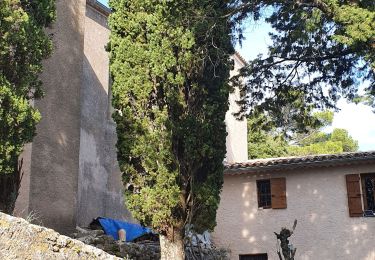 Tour Wandern La Roquebrussanne - La Roquebrussane  la cheminée de la Loube - Photo