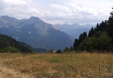 Tocht Stappen Saint-Jean-d'Aulps - Sommet des Têtes avec descente à Graydon - Photo