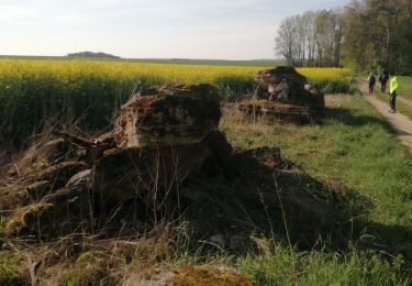 Trail Walking Montreuil-sur-Epte - Montreuil sur Epte- Ducourt les vignes Mignot   - Photo