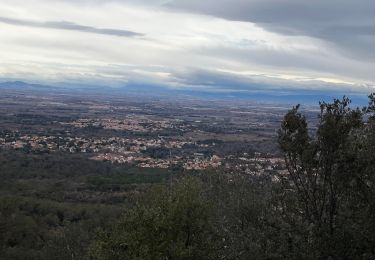 Excursión Senderismo Laroque-des-Albères - La Roque des Albères, les cabanes de Mataporcs - Photo