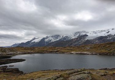 Randonnée Marche La Grave - plateau demparis - Photo