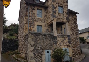 Excursión Marcha nórdica Prades-d'Aubrac - Prades d'Aubrac Chemin du Serre & Ronde des Crêtes - Photo