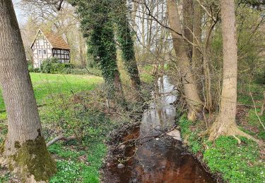 Percorso A piedi Visselhövede - Nordpfad 'Federlohmühlen' - Photo