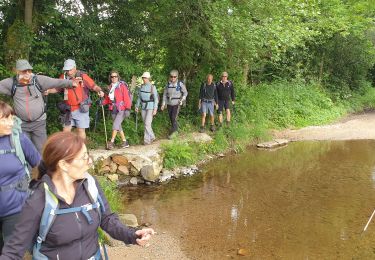 Trail Walking Laguiole - Soulagese Chateau du  ousquet - Photo