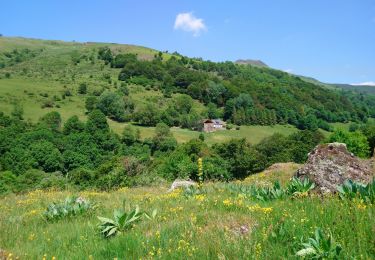 Excursión Senderismo Lavigerie - Cantal - La Gravière - La Vallée de l'Impradine - 6km 170m 2h20 - 2019 07 03 - Photo