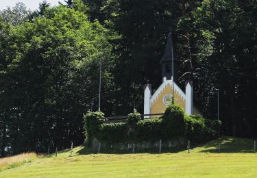 Tocht Te voet Sankt Ulrich bei Steyr - Wanderweg 12 - Photo