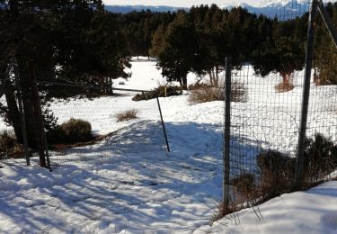 Trail Snowshoes Font-Romeu-Odeillo-Via - petit tour au dessus de l'appartement  - Photo