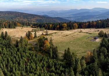 Excursión A pie Podłopień - Zęzów - Łopień - Photo