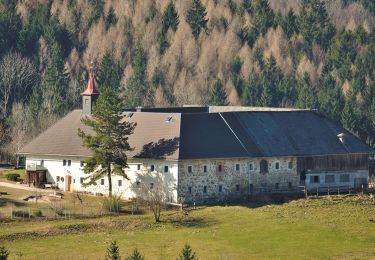 Percorso A piedi Nußbach - Gruabholz - Photo