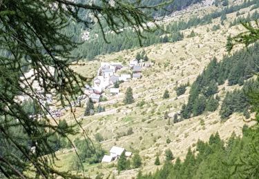 Tocht Stappen Valdeblore - Mollieres vers Vallon Mercieres - Photo