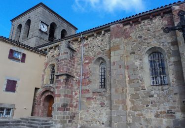 Excursión A pie Isserteaux - Le Puy du Courdeloup - Photo