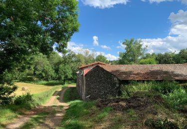 Trail Walking Saint-Paulien - St Paulien - LISSAC - Photo