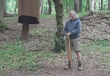 Trail Walking Havelange - rhodo ac 6 - Photo