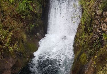 Trail Walking Porto da Cruz - De Ribeiro Frio vers Portela (Rother n°18) - Photo