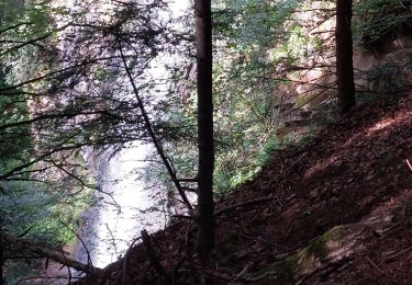 Percorso Marcia Mont-Dore - LES CASCADES DU ROSSIGNOLET ET DE QUEUREUILH - Photo