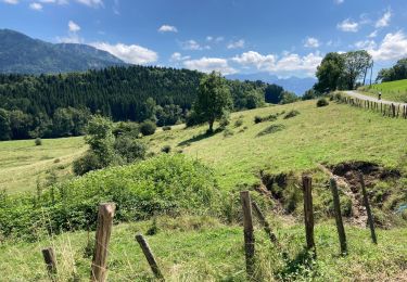 Percorso Bicicletta elettrica Lépin-le-Lac - Les pain cinq francs la bouche - Photo