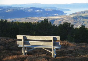 Trail On foot Unknown - Pilegrimsleden - Østerdalsleden - Photo