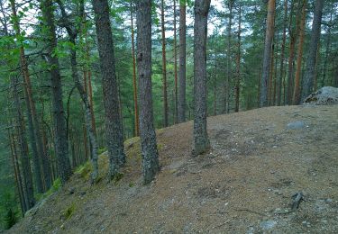 Randonnée A pied Saarijärvi - Kulhanvuoren luontopolku - Photo