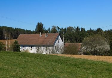 Percorso A piedi Ahorntal - Zu Höhlenbär und Millionär - Photo