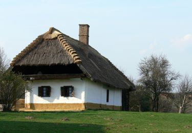 Tour Zu Fuß Szalafő - Körtike tanösvény - Photo