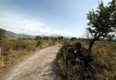 Percorso A piedi Linguaglossa - (SI V23F) Piano Provenzana - Moio Alcantara - Photo