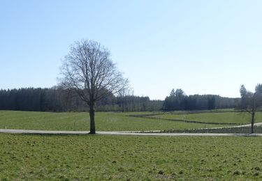 Tour Wandern Neufchâteau - Massul - Bercheux - Photo