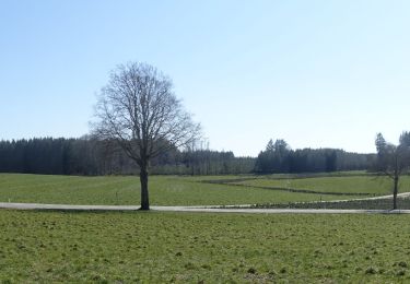 Excursión Senderismo Neufchâteau - Massul - Bercheux - Photo