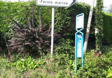 Tour Wandern Octeville-sur-Mer - Octeville sur Mer / la ferme aquatique / Octeville sur Mer - Photo