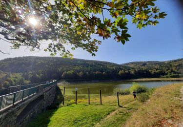 Percorso Marcia Ranspach - très, lac de la lauch - Photo