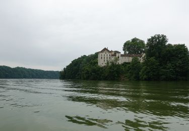 Excursión A pie Düdingen - Felliwil - Schlattli - Photo