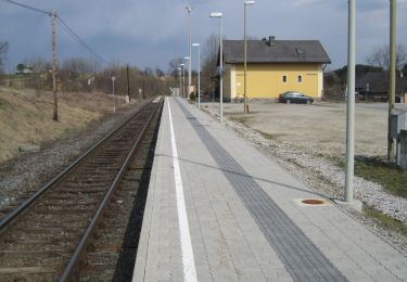 Tocht Te voet Dechantskirchen - Flourlweg (Weg H, 6.7 km) - Photo