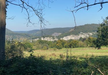 Trail Walking Namur - Flawinne - Godinne (GR126) - Photo