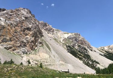 Tocht Stappen Arvieux - Qu’eurasien 15-06-22 - Photo