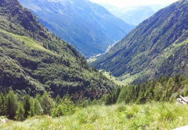 Trail On foot Paspardo - (SI D26S) Rifugio Colombè - Rifugio Città di Lissone in Val Adamè - Photo