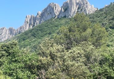 Tour sport Gigondas - Dentelles de Montmirail - Photo
