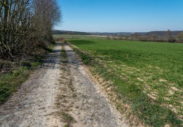 Trail Walking Court-Saint-Étienne - Promenade 3 de Franquenies - Photo