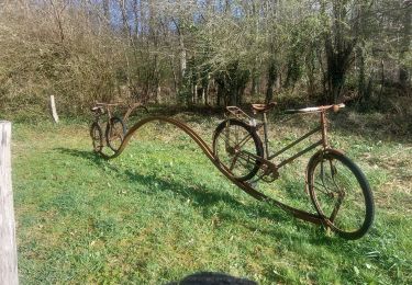 Randonnée Marche Durbuy - Villers Ste Gertrude - Photo