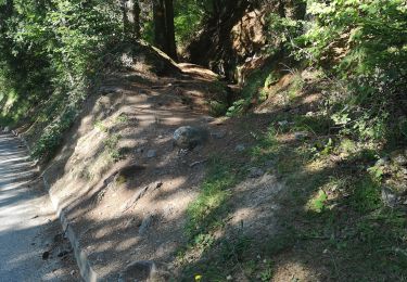 Trail Nordic walking Ayent - etang de Lombardon  - Photo