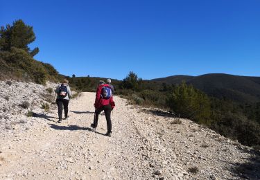 Tocht Noords wandelen Lourmarin - MN  07 Mars 2020 Lourmarin - Photo