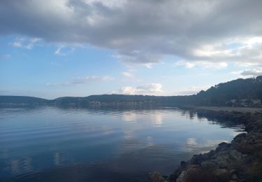 Trail Walking Istres - Le Ranquet-Istres 30.11.24 - Photo