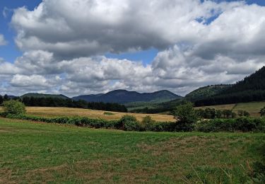 Tour Wandern Orcival - J4 : lac de Servières - lac de la Cassière - Photo