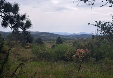 Excursión Senderismo Blandas - Blandas - Photo