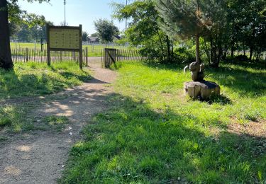 Tour Wandern Brain-sur-Allonnes - BALADE BRUN SUR ALLONE DANS LA FORÃT  - Photo