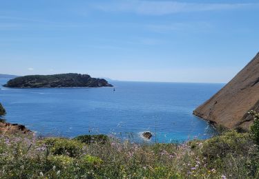 Randonnée Marche La Ciotat - 